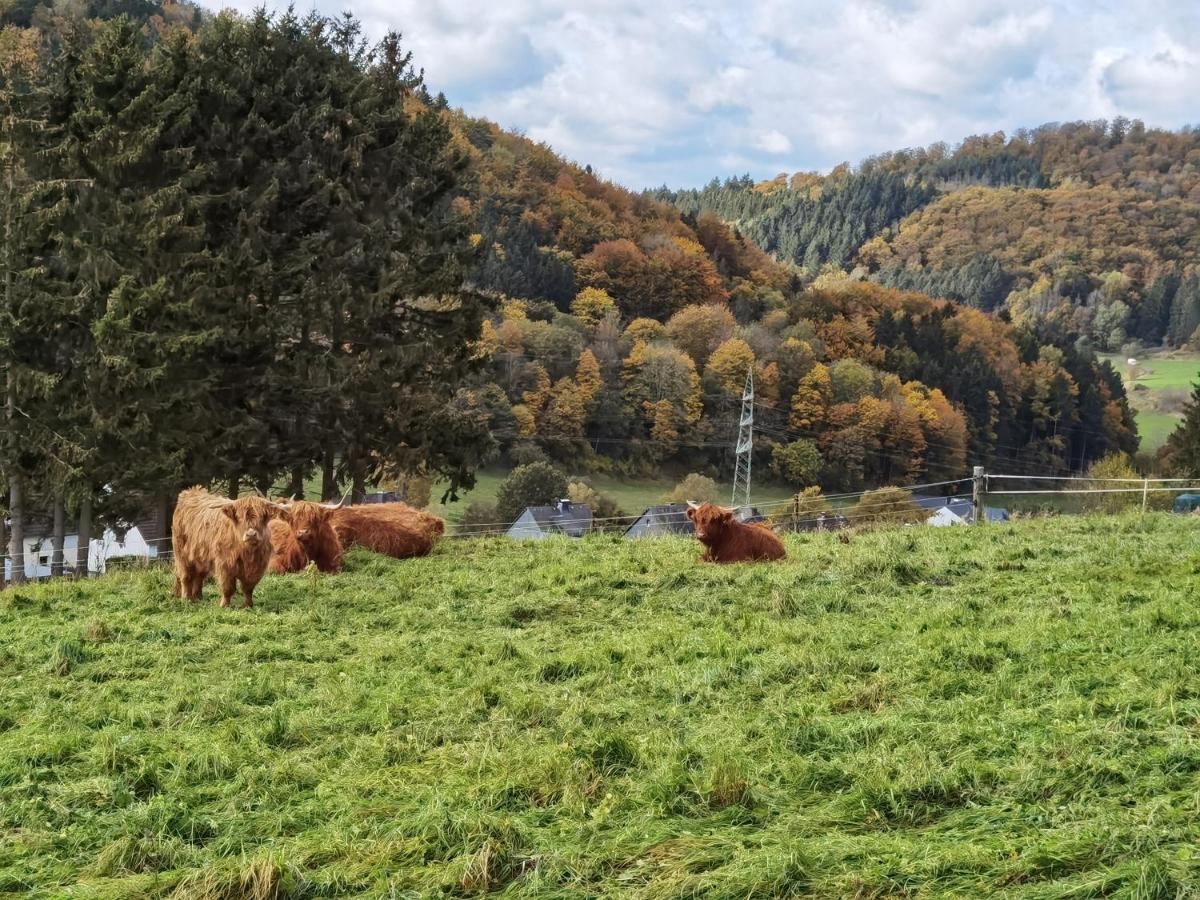 Ferienhaus Waldblick Hohenfels-Essingen Buitenkant foto